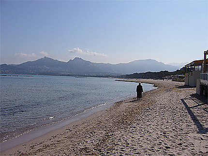 La plage de Calvi