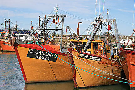 Bateau de pêche patagonien