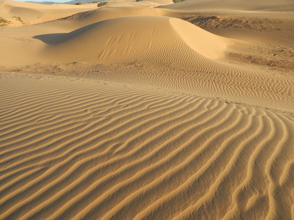 Medanos de Coro