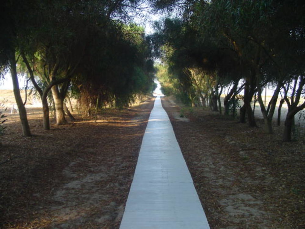 Du camping à la plage