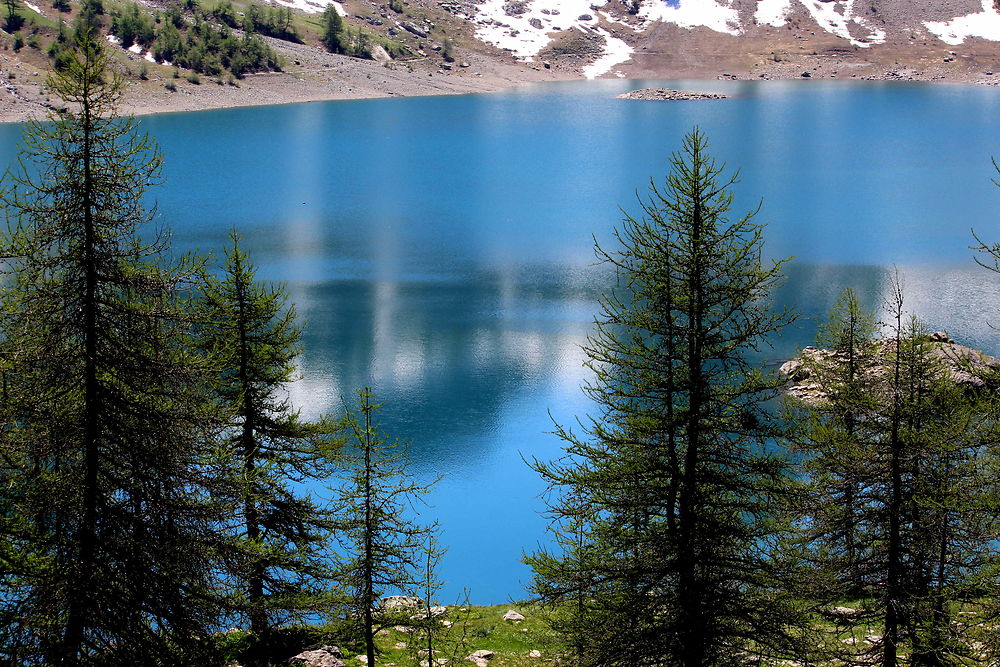 LAC D'ALLOS AVEC SAPINS