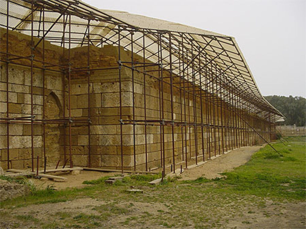 Mura Timoleontee