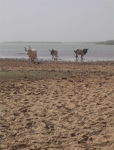 La barrage de Yako La barrage de Yako