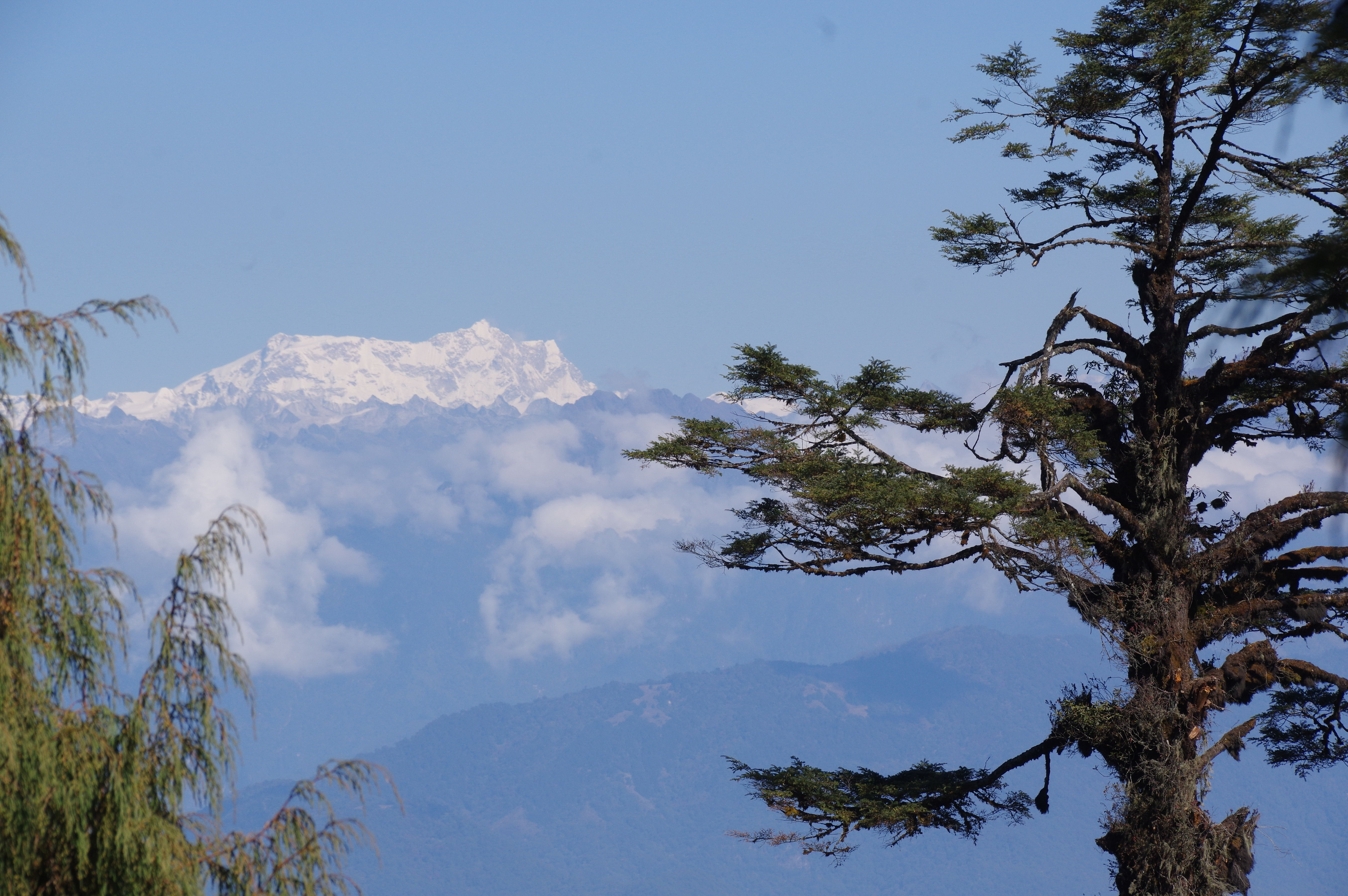 Vue des hauts sommets du Col de la Dachu
