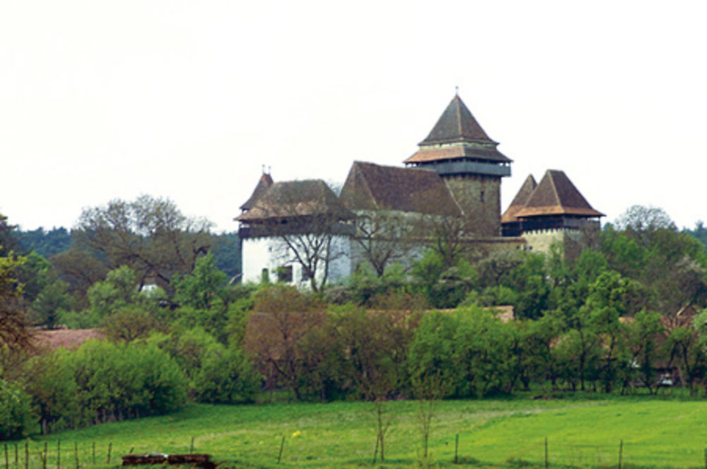 CITADELLES SAXONNES : VISCRI