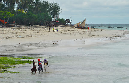 Pêche au filet a Zanzibar