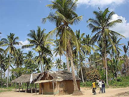 Village de la côte tanzanienne