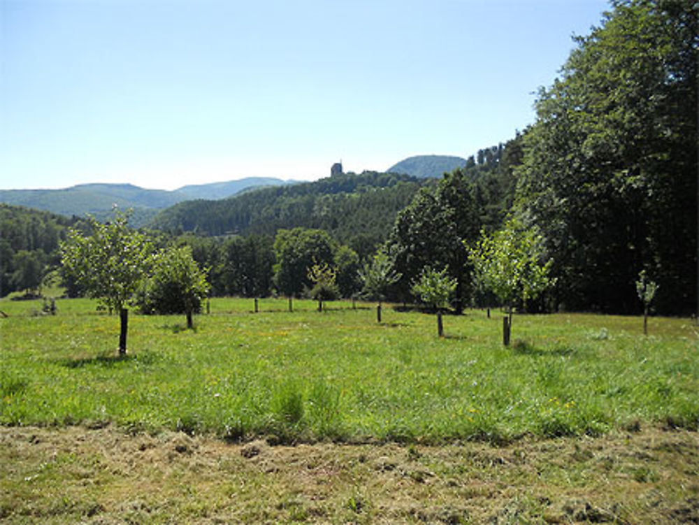 Château de Fleckenstein vu du Gimbelhof