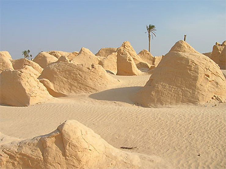 Blocs solides de sel et de sables : Désert : Chott El-Djerid : Région ...