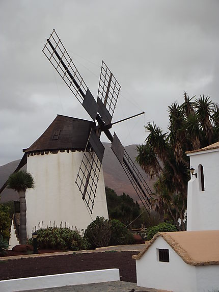 Moulin d'Antigua