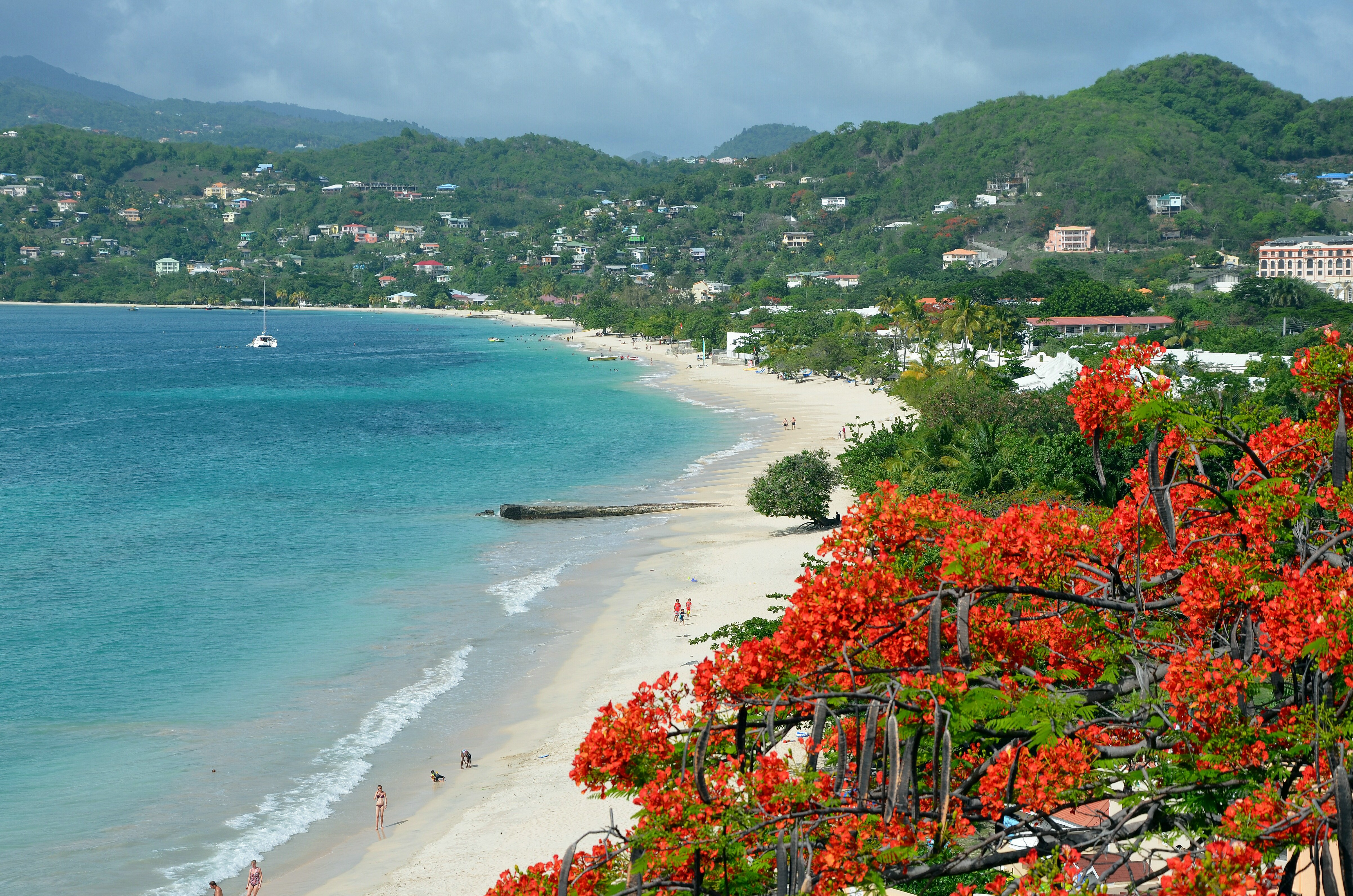 Plage de Grand Anse Plage de Grand Anse