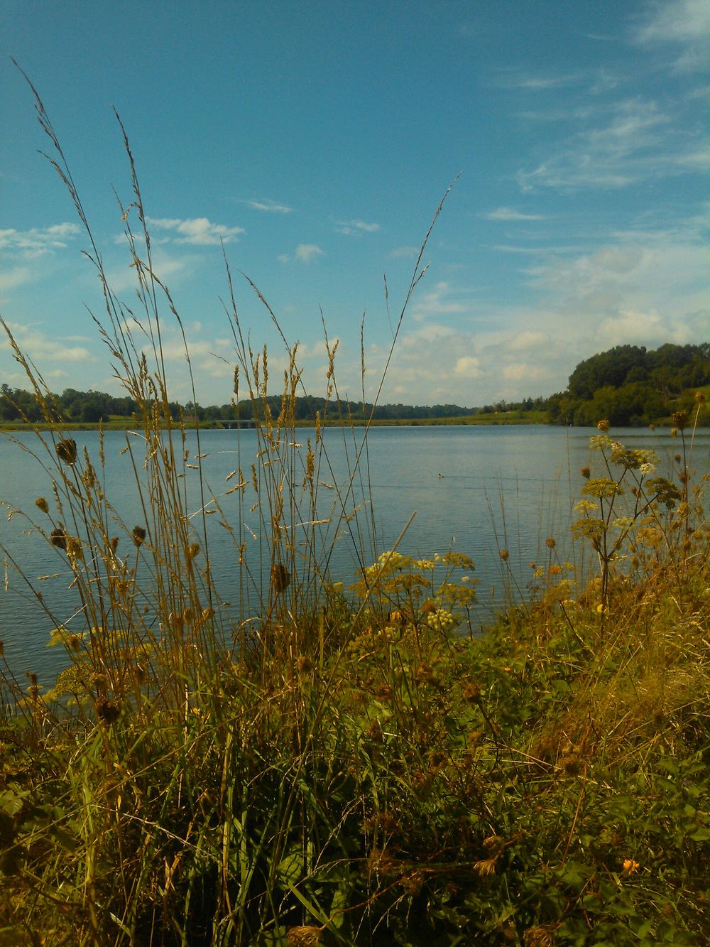 Lac du Gabas 