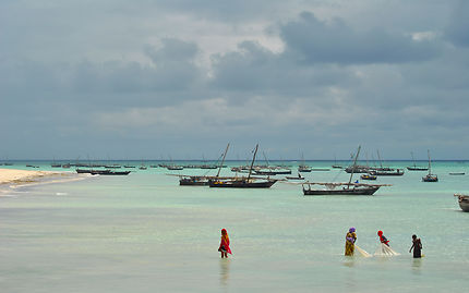 Pêche au filet a Zanzibar