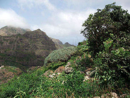 Ribeira Covoada, agriculture de pente