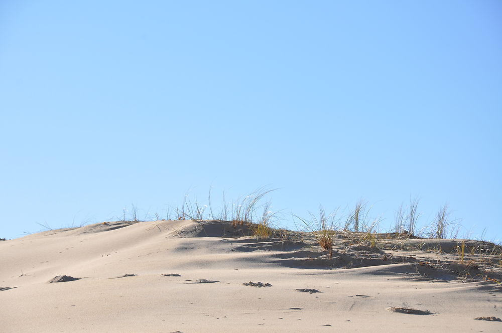 Un hiver dans la dune