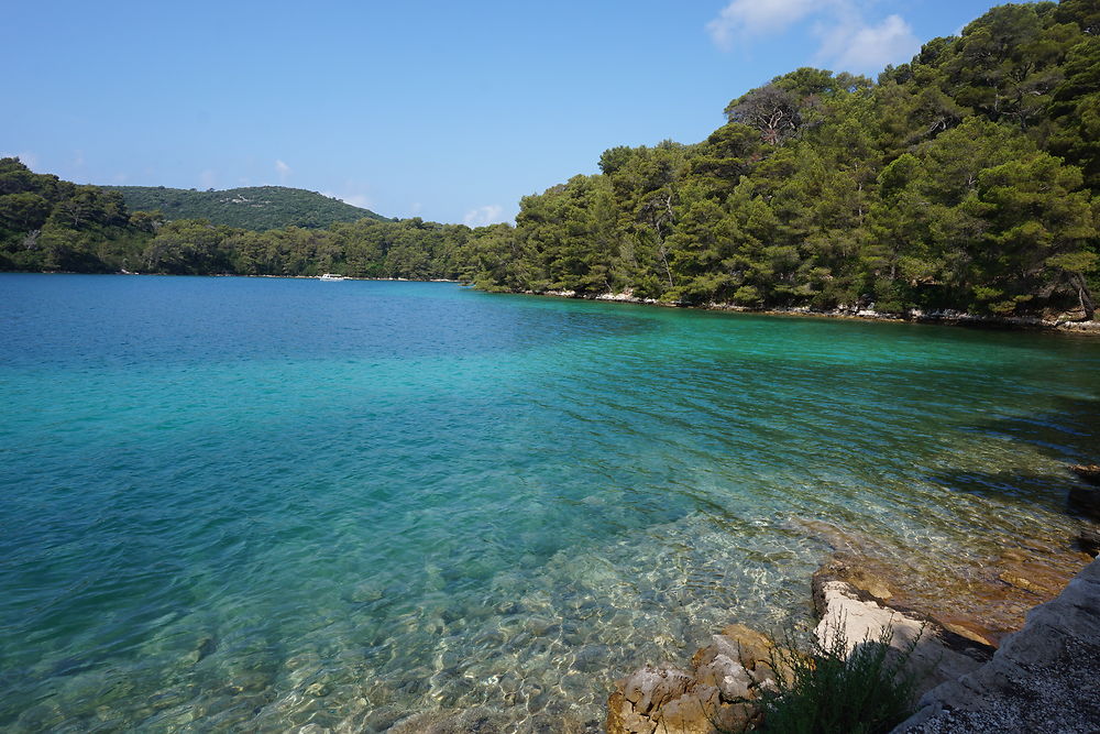 Parc national de Mljet en Croatie