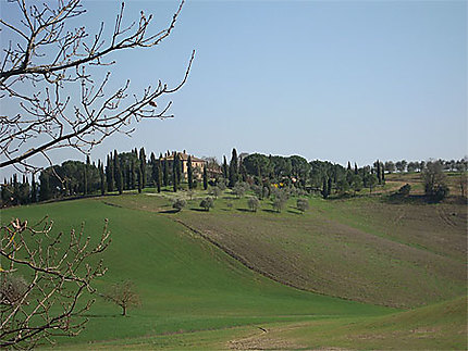 Paysage Toscan