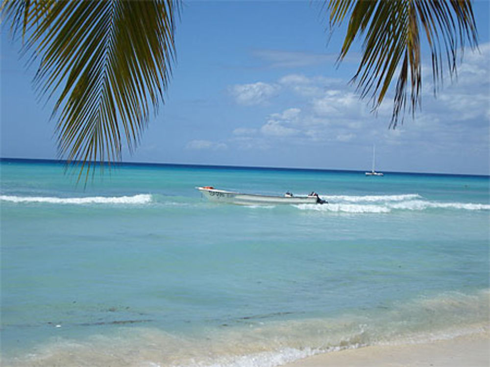 Aux alentours de Boca Chica