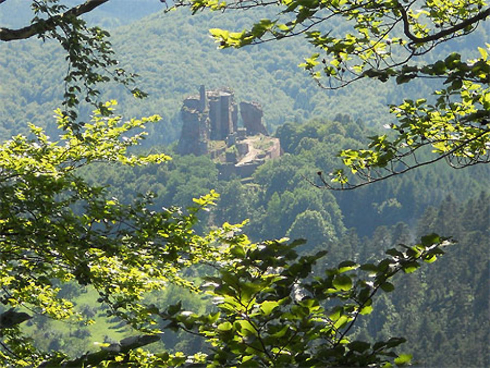 Château de Fleckenstein