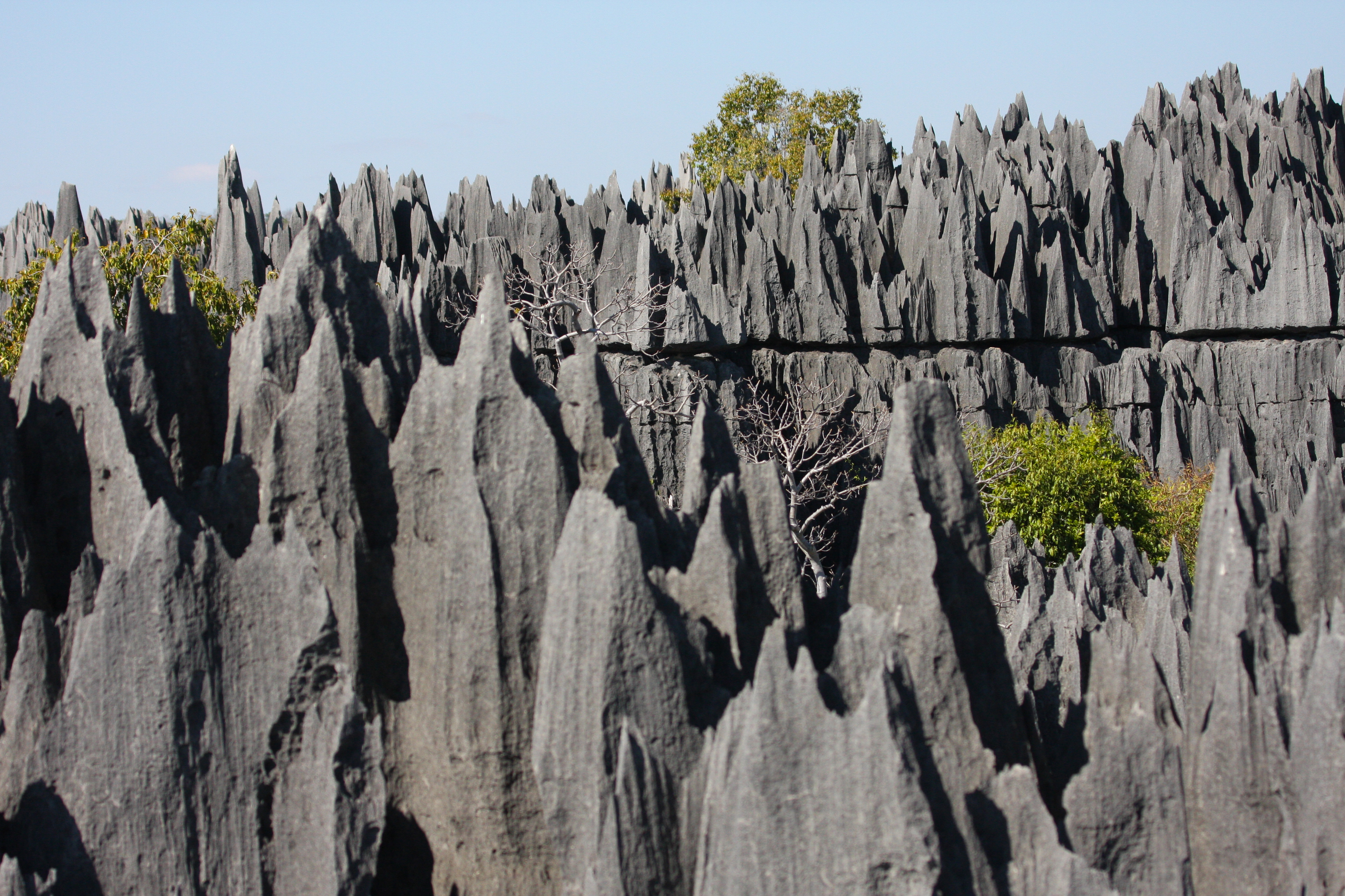 Tsingy de Bemaraha Tsingy de Bemaraha