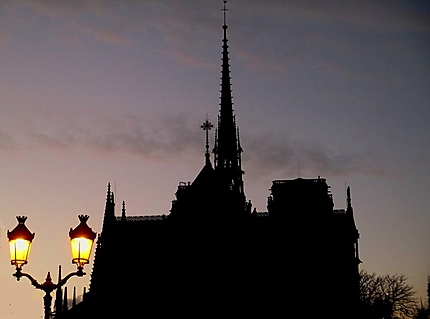 Paris la nuit (la cathédrale Notre Dame)