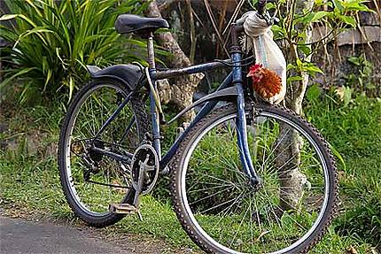 Le poulet garde le vélo !!!