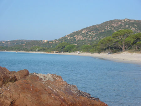 Plage de Palombaggia Plage de Palombaggia