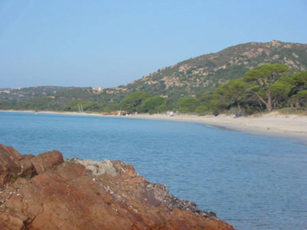 Plage de Palombaggia