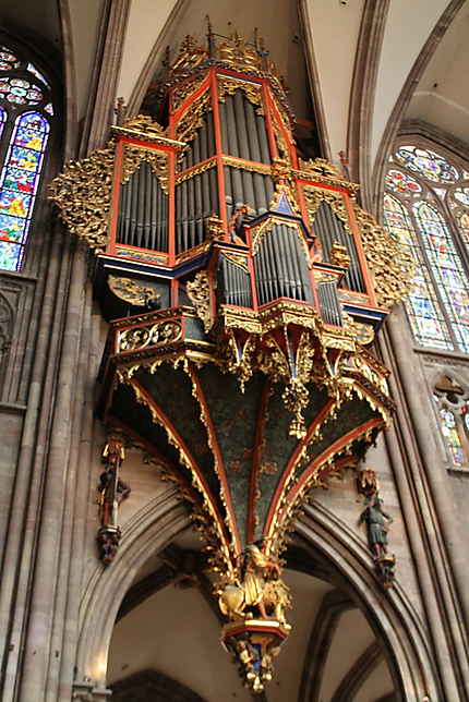 Le grand orgue en nid d'hirondelle