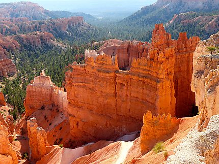 Bryce Canyon - Roches