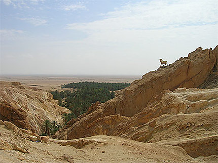 Chebika (Oasis de montagne)