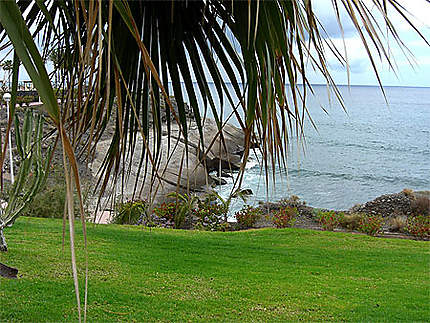Côte près du Bahia del Duque 
