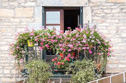 Besançon, un balcon jardin