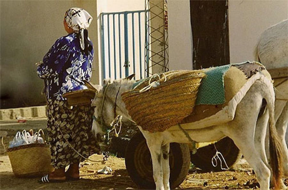 Ane blanc et paysanne 