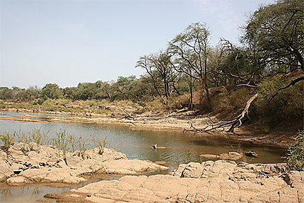Le fleuve Gambie