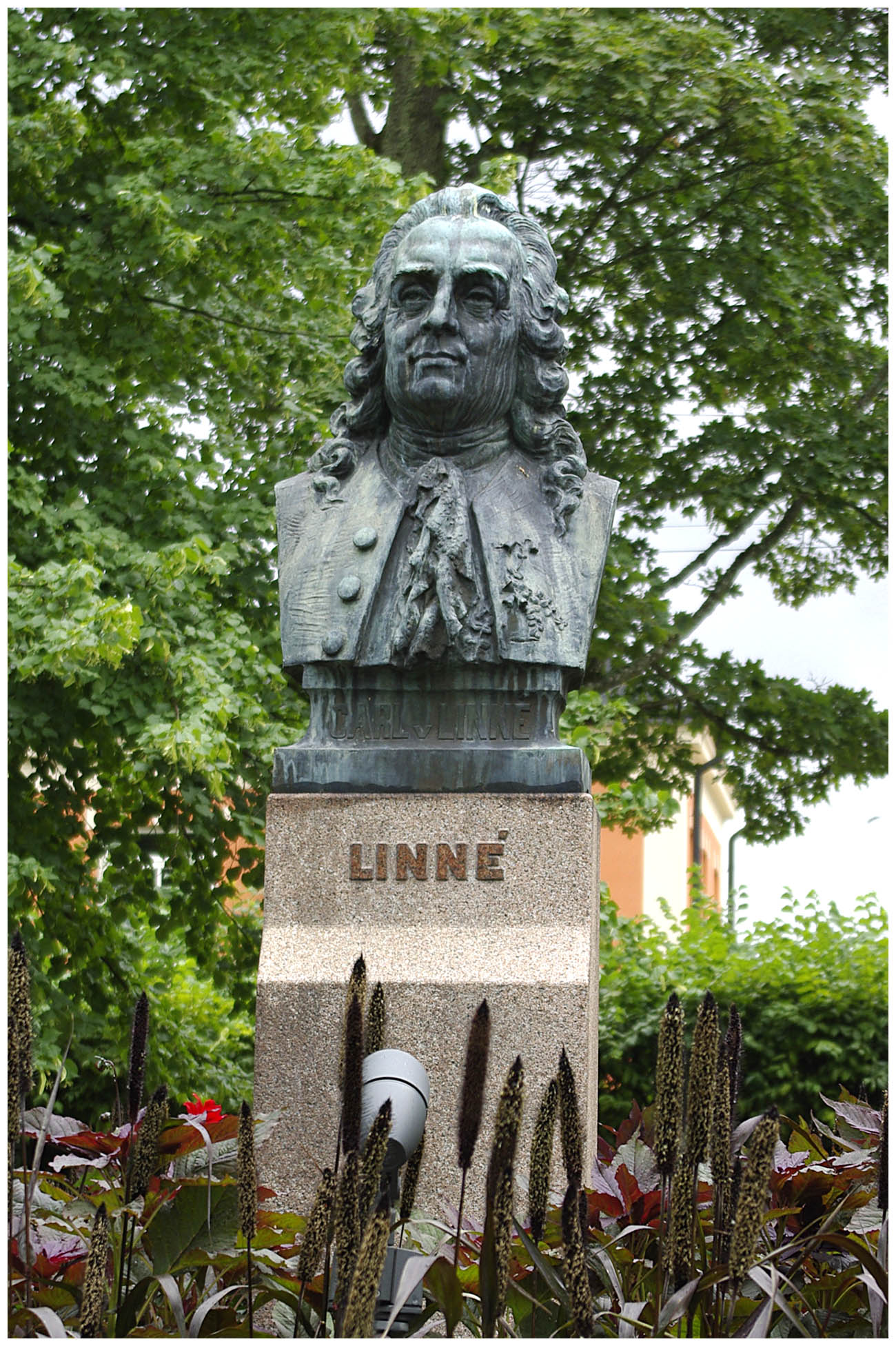 Le buste de Linné Le buste de Linné
