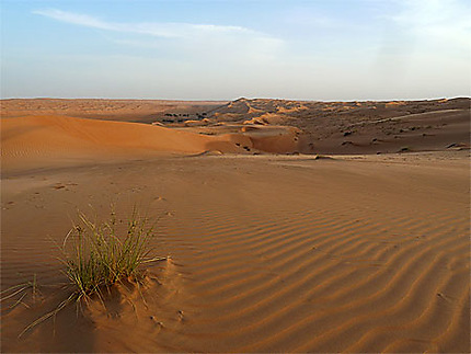 Vue des dunes du 1000 Nights