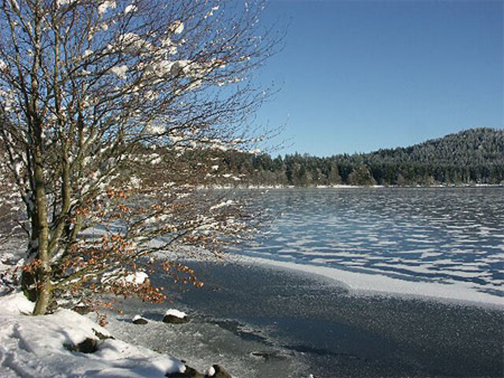 Le lac du Bouchet ( Lac de Cratère)