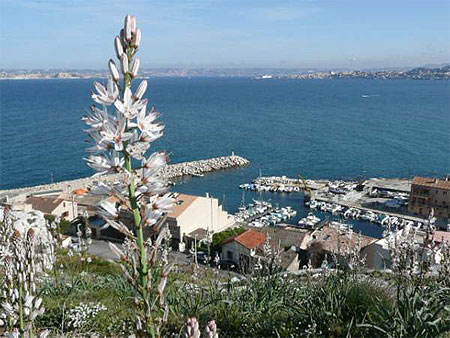 Port de la Madrague Port de la Madrague