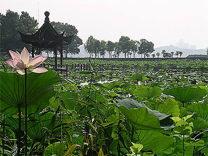 Sur le lac de l'ouest à Hangzhou