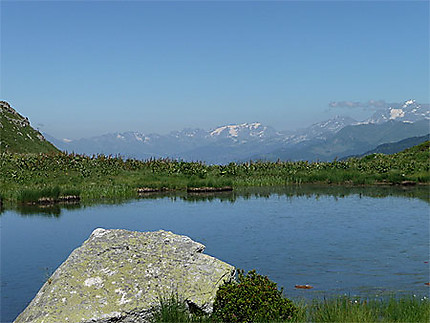 Le lac aux tritons