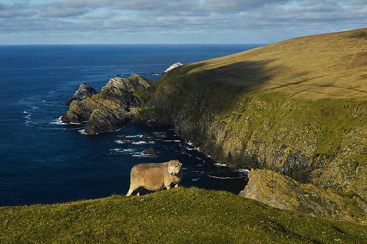 Les archipels écossais : Hébrides, Orcades, Shetland (Ecosse)