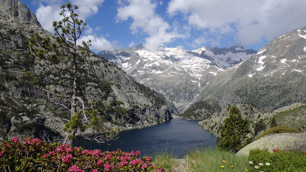 Lac Nègre (Parc national des Aiguestortes).