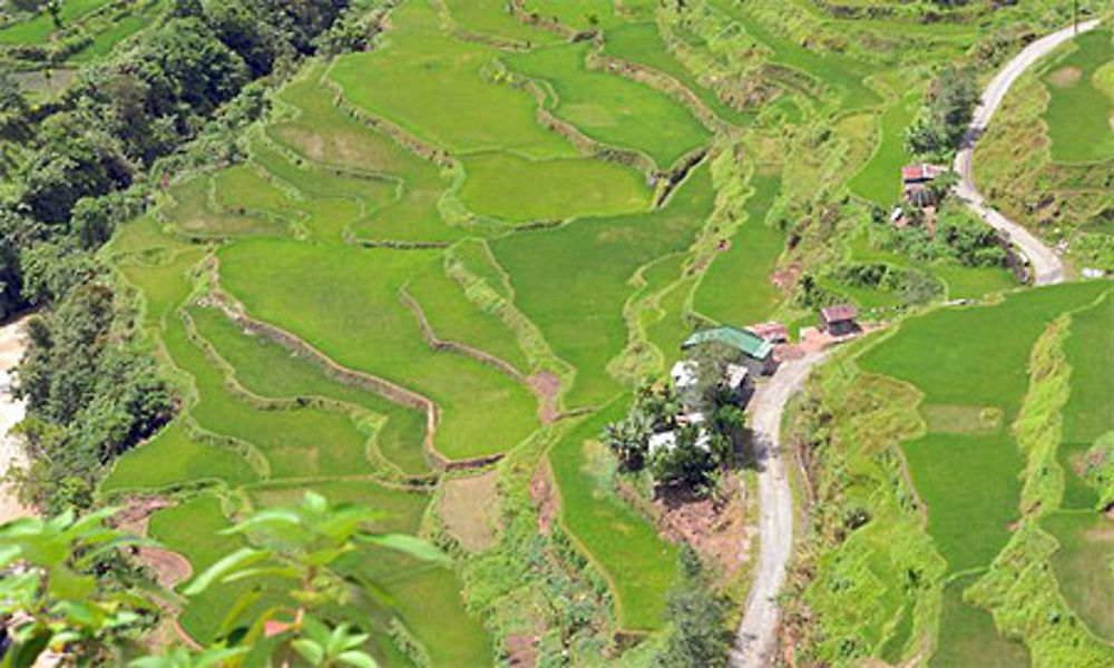 Les rizières de Hapao