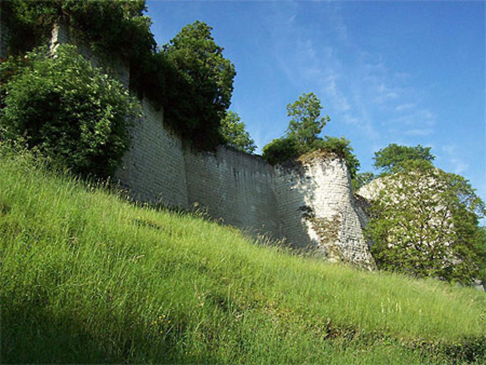 Château de Chinon