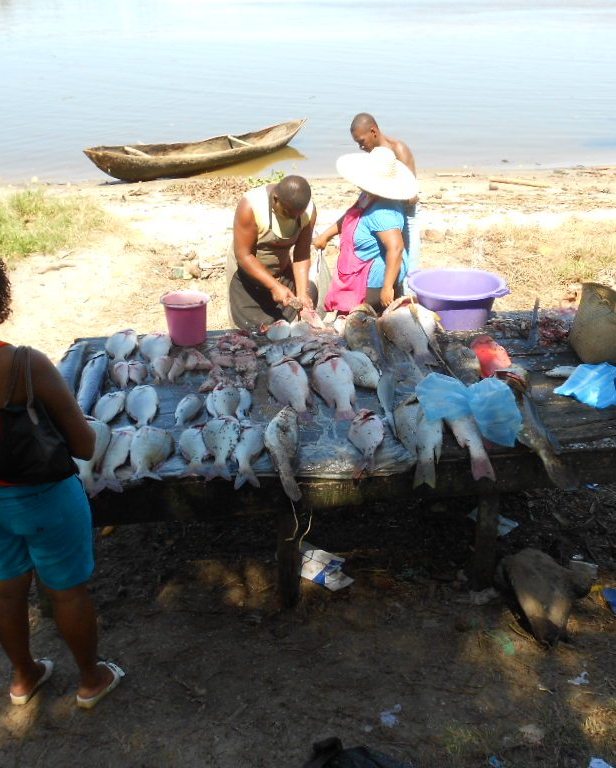 Poissons frais Poissons frais