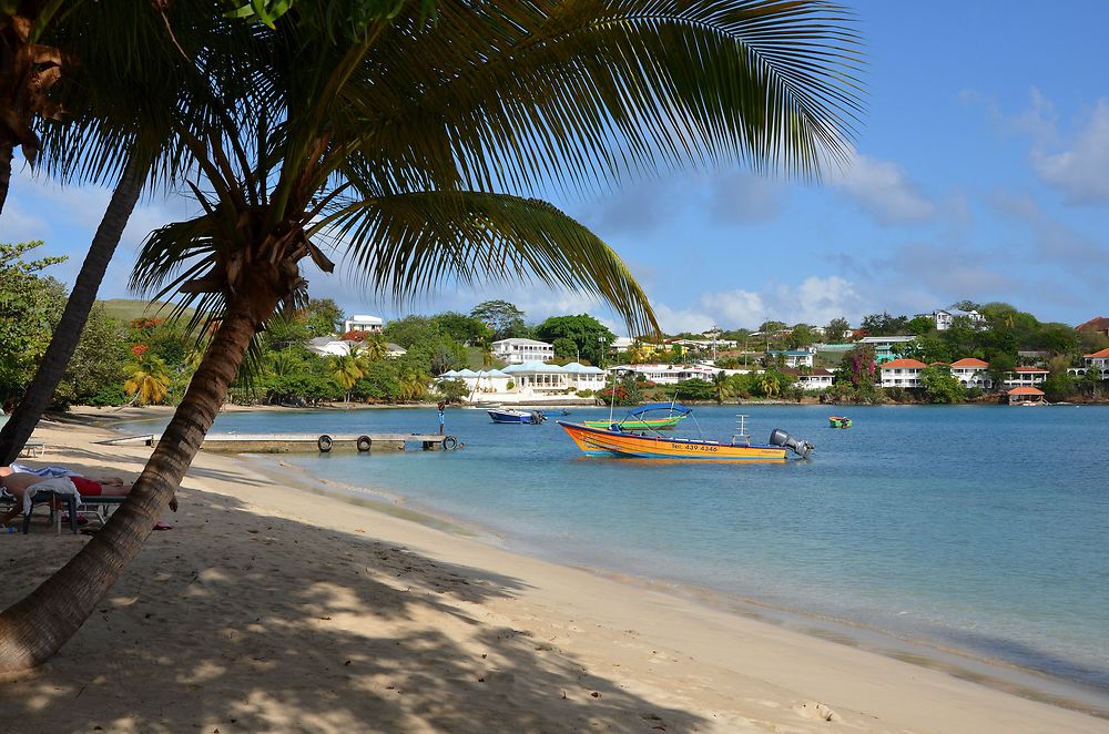 Prickly Bay