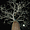 Baobab au clair de lune