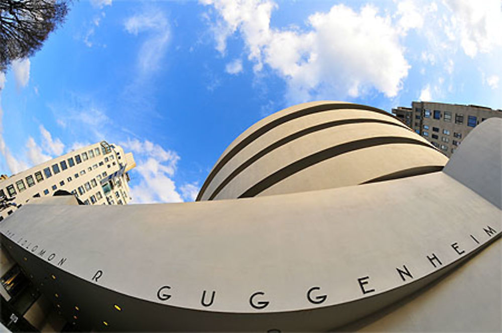 Guggenheim Museum