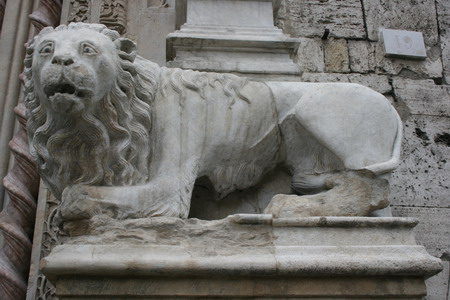 Lion Lion